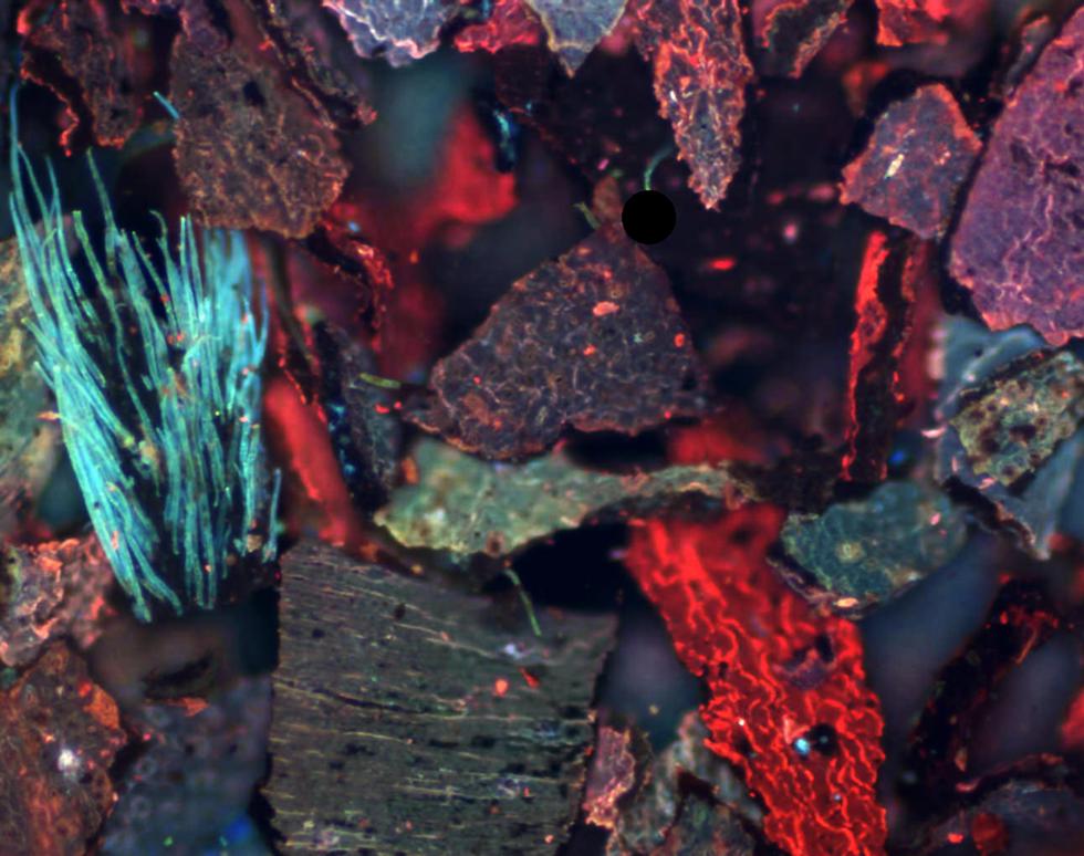 Tea Earl Grey Hot - Sonya James